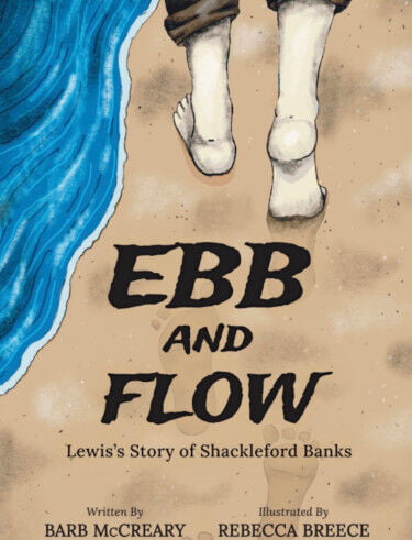 Barbara McCreary Ebb and Flow